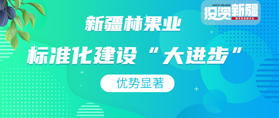 标准化建设又进一步！立足四大优势，新疆林果业加快转型“闯新路”！